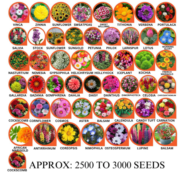 Bloom Your Garden: 100 Varieties of Flower Seeds + FREE Growth Supplement!
