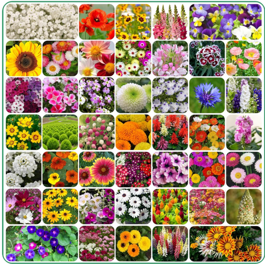 Bloom Your Garden: 100 Varieties of Flower Seeds + FREE Growth Supplement!