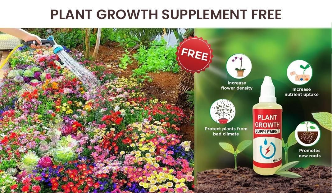 Bloom Your Garden: 100 Varieties of Flower Seeds + FREE Growth Supplement!
