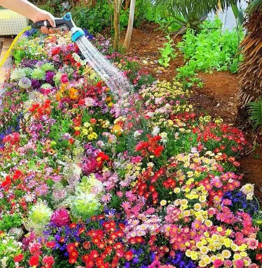 Bloom Your Garden: 100 Varieties of Flower Seeds + FREE Growth Supplement!